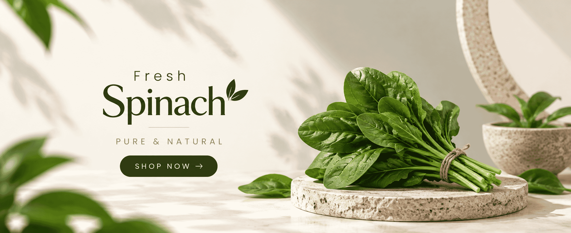 Old Spice Agro Fresh Banner