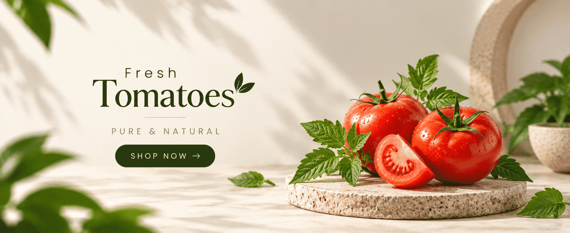Old Spice Agro Fresh Banner